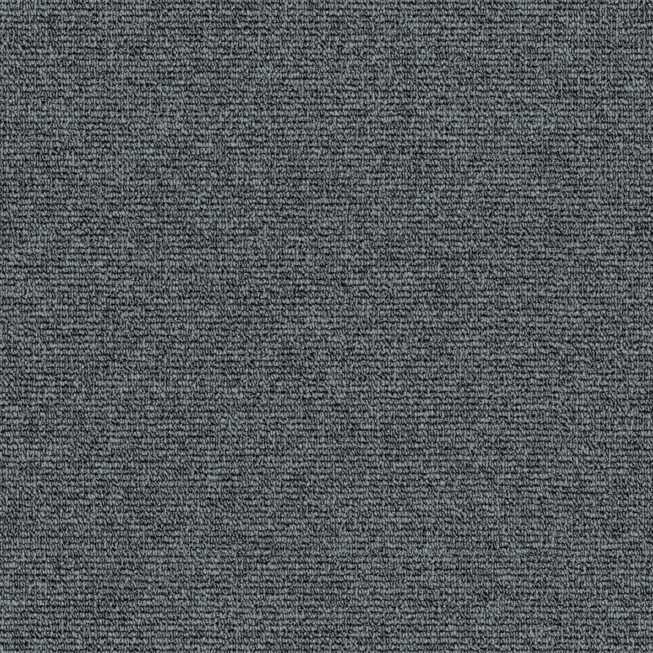 7305 Donkey
