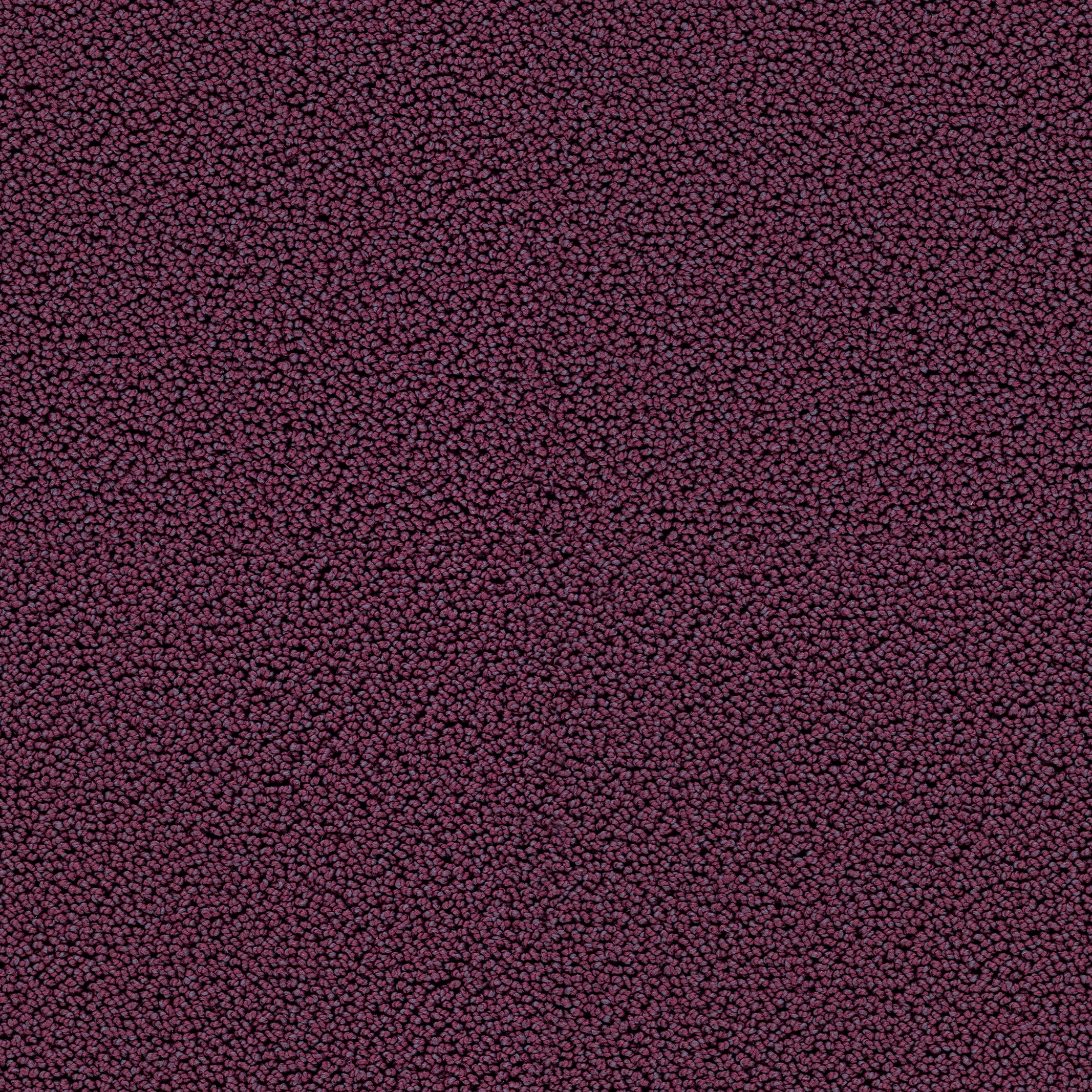 7711 Blueberry