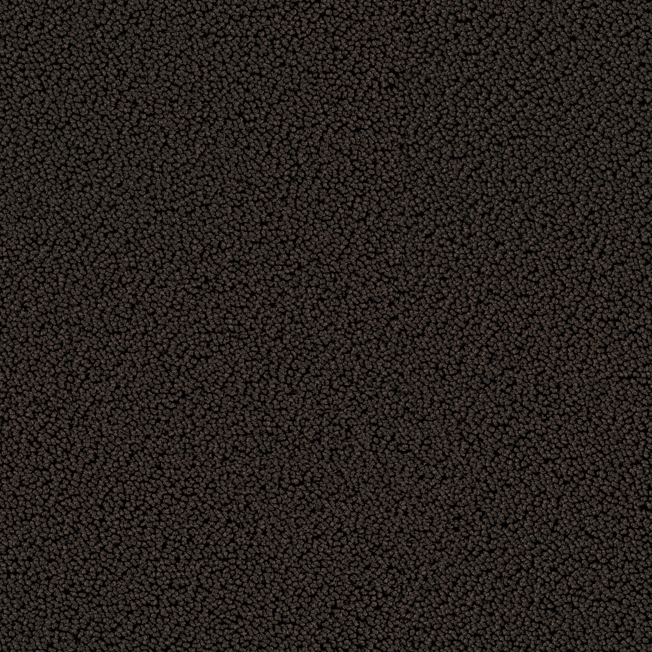 7722 Browny