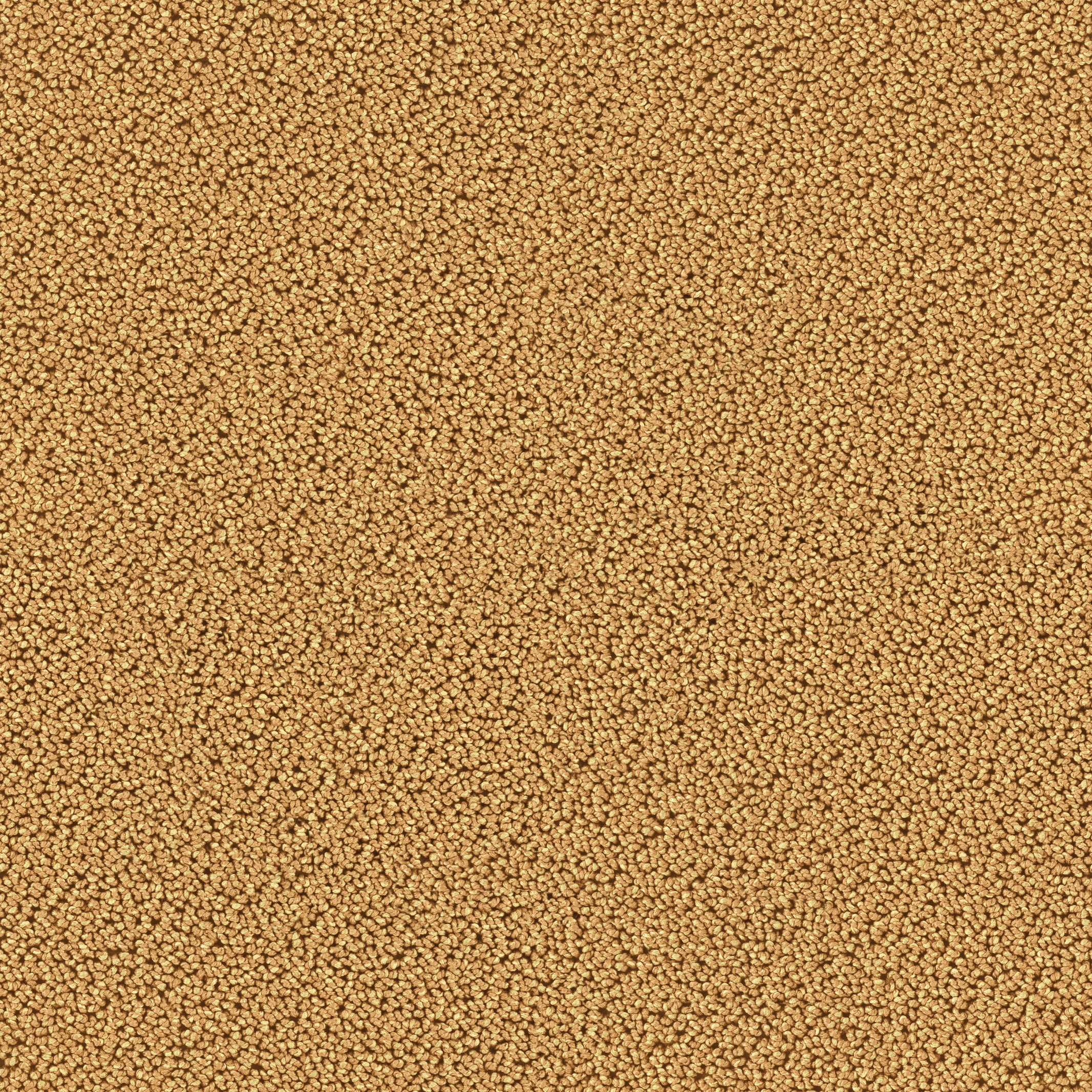 7723 Camel