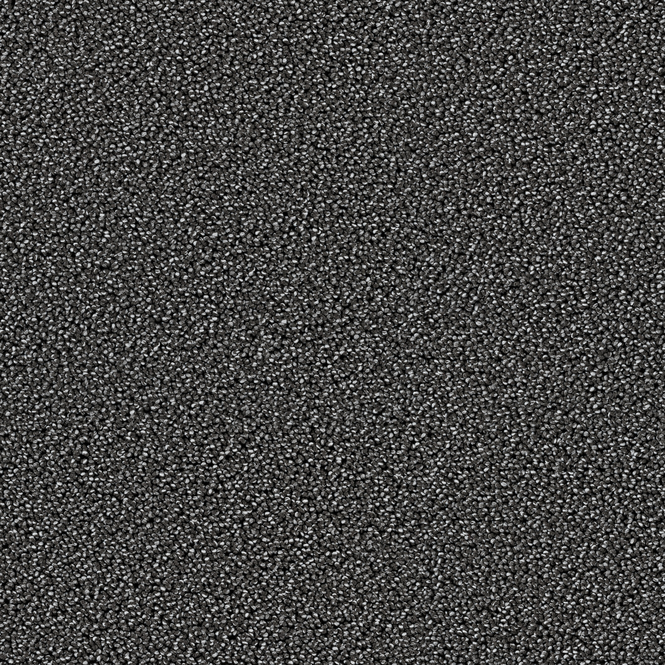 7732 Coal