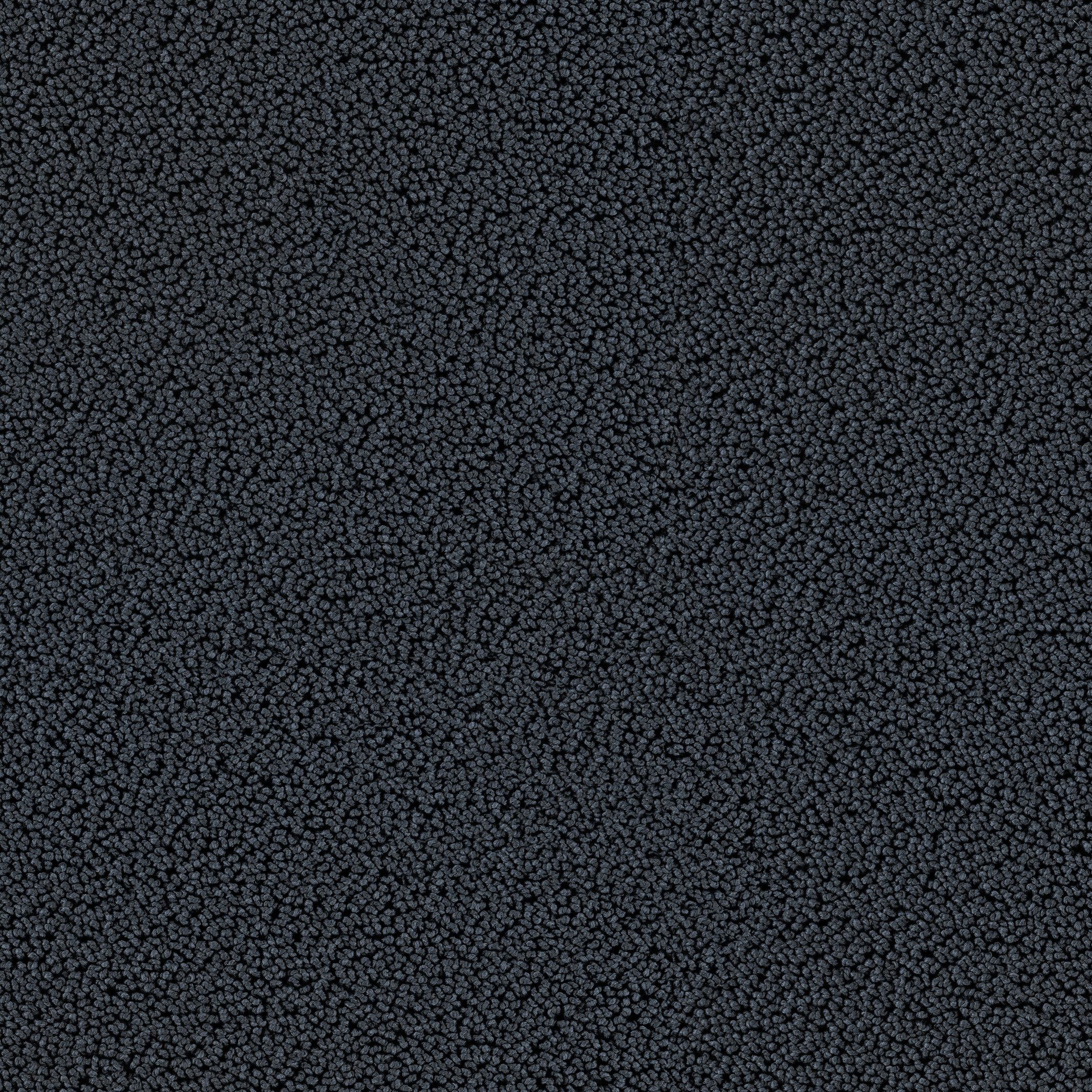 7721 Black Forrest