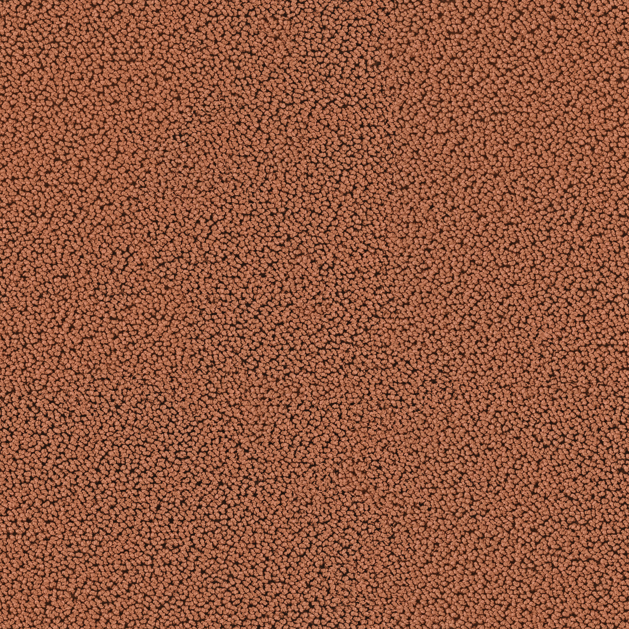 7724 Rusty Brown