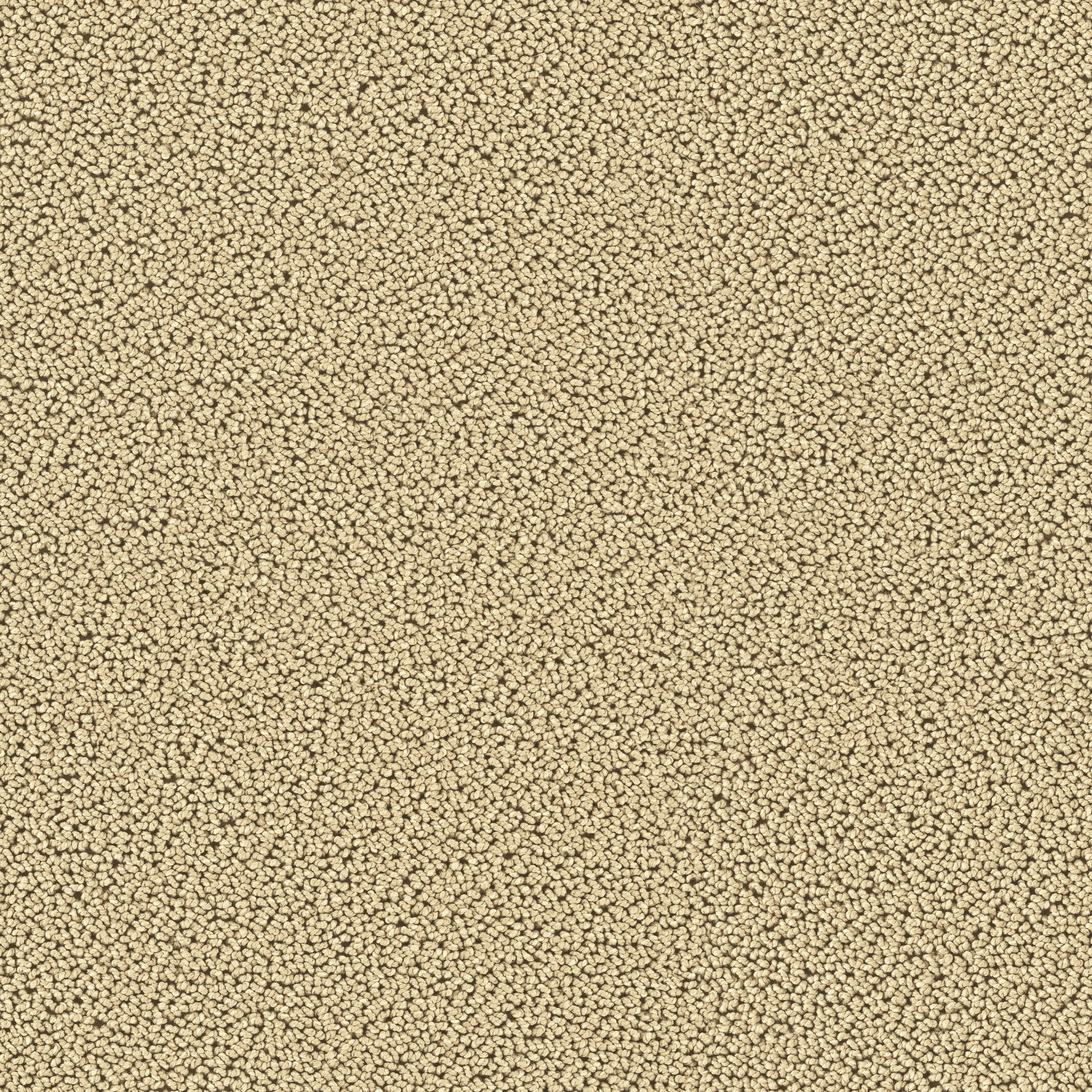 7704 Stone