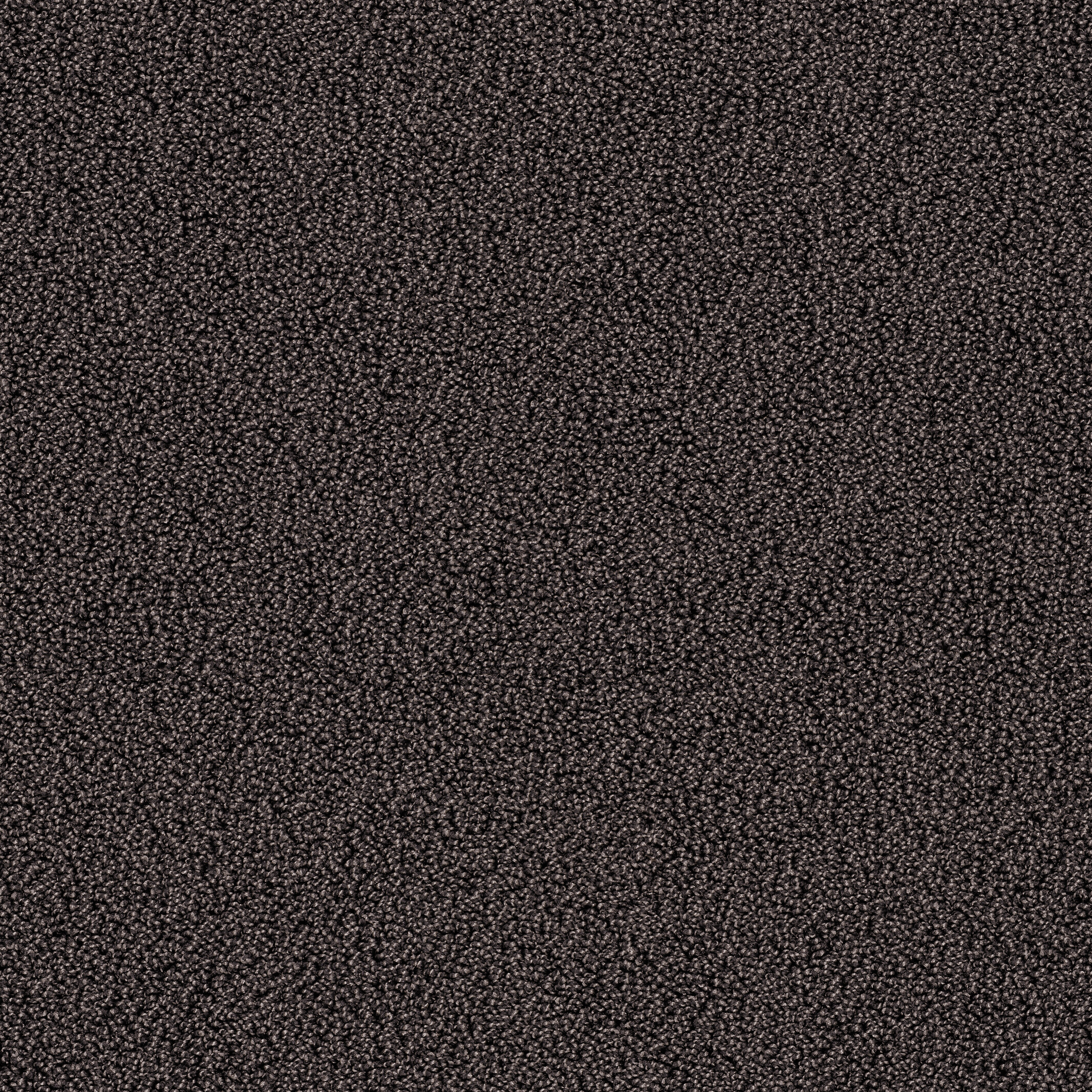 7914 Baie Noire