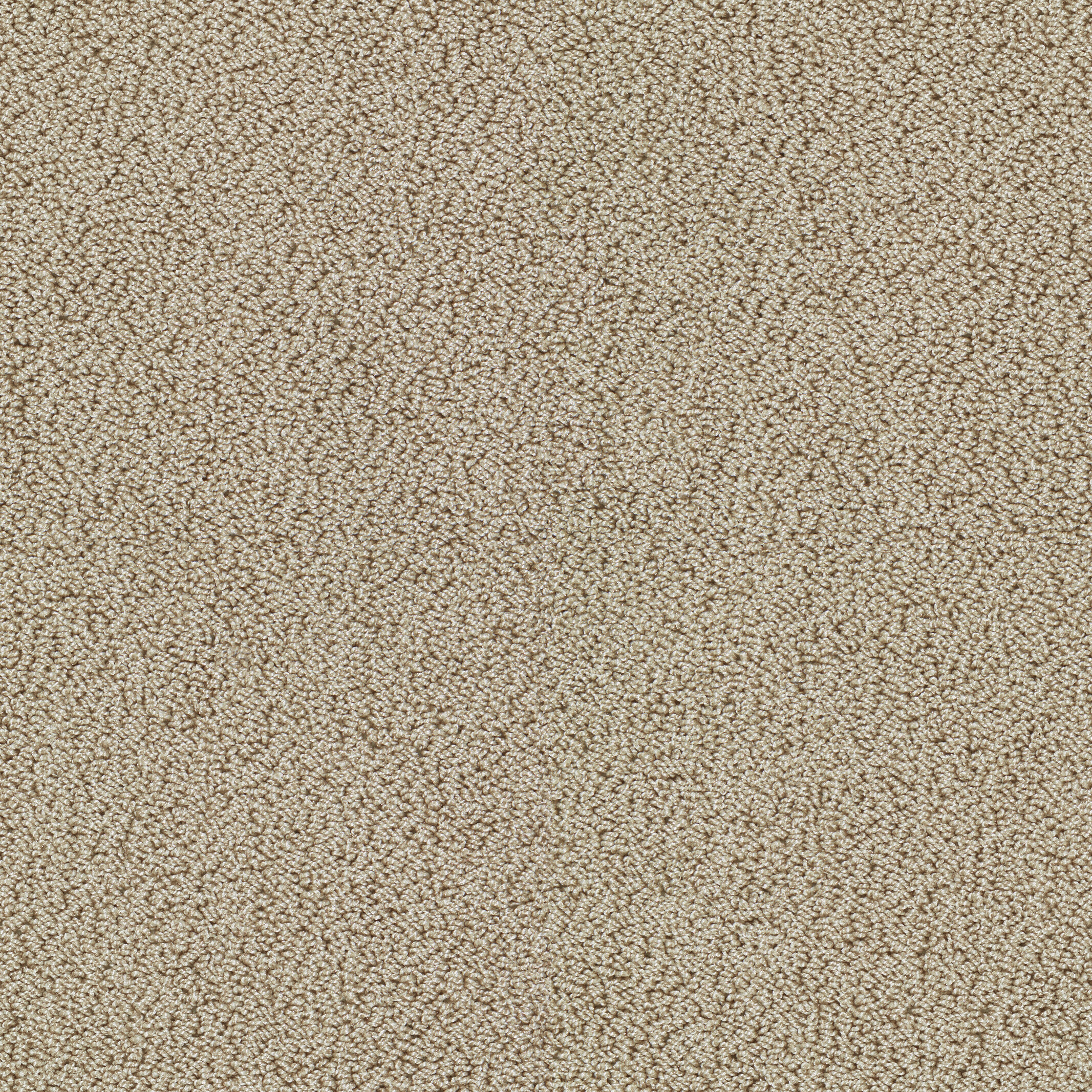 7902 Beach