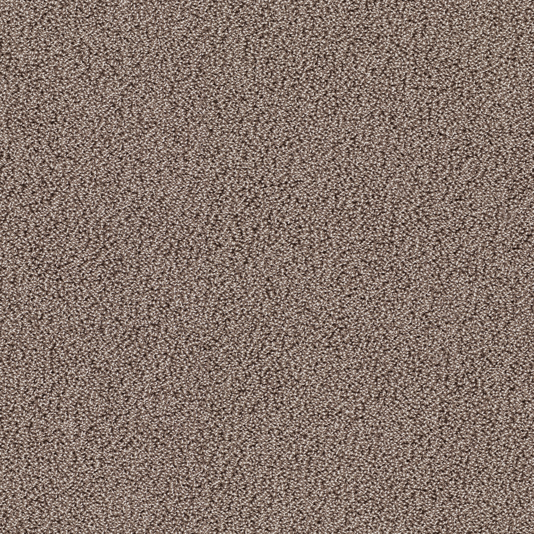 7920 Powder