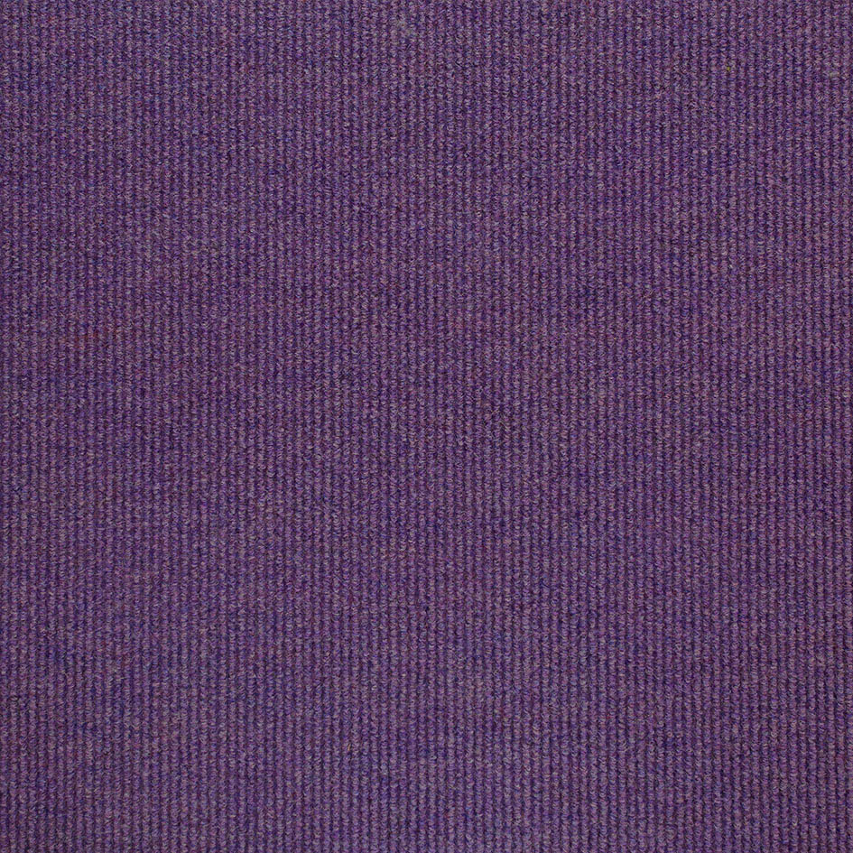 11874 Lilac Iris
