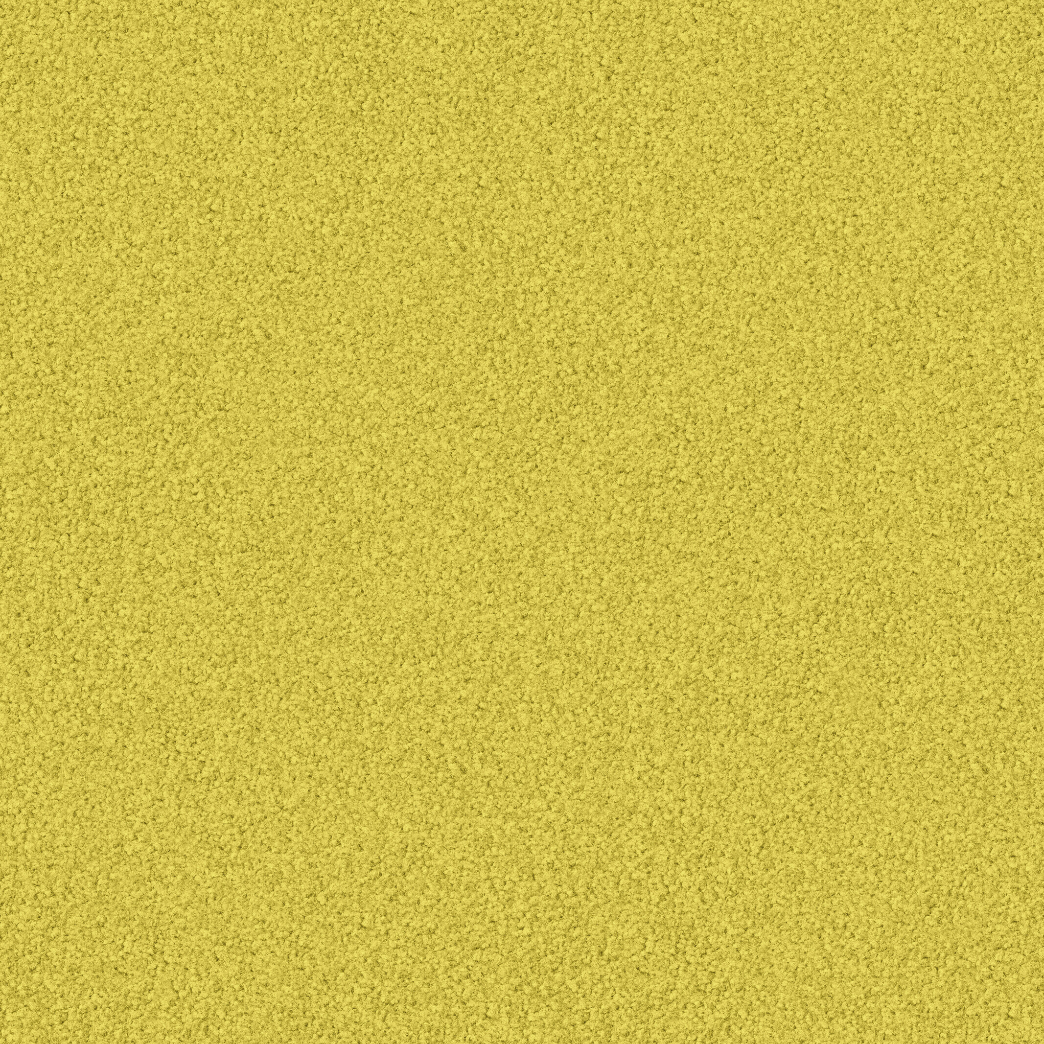 1119 Citrus