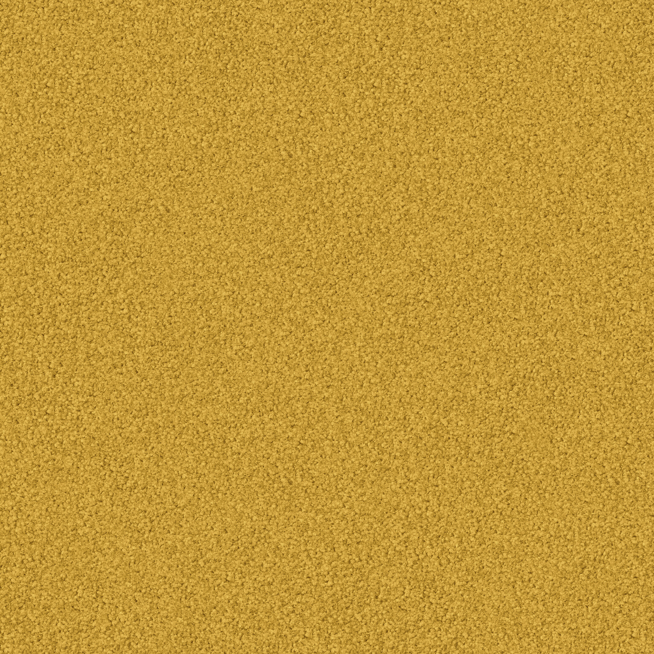 1131 Goldregen