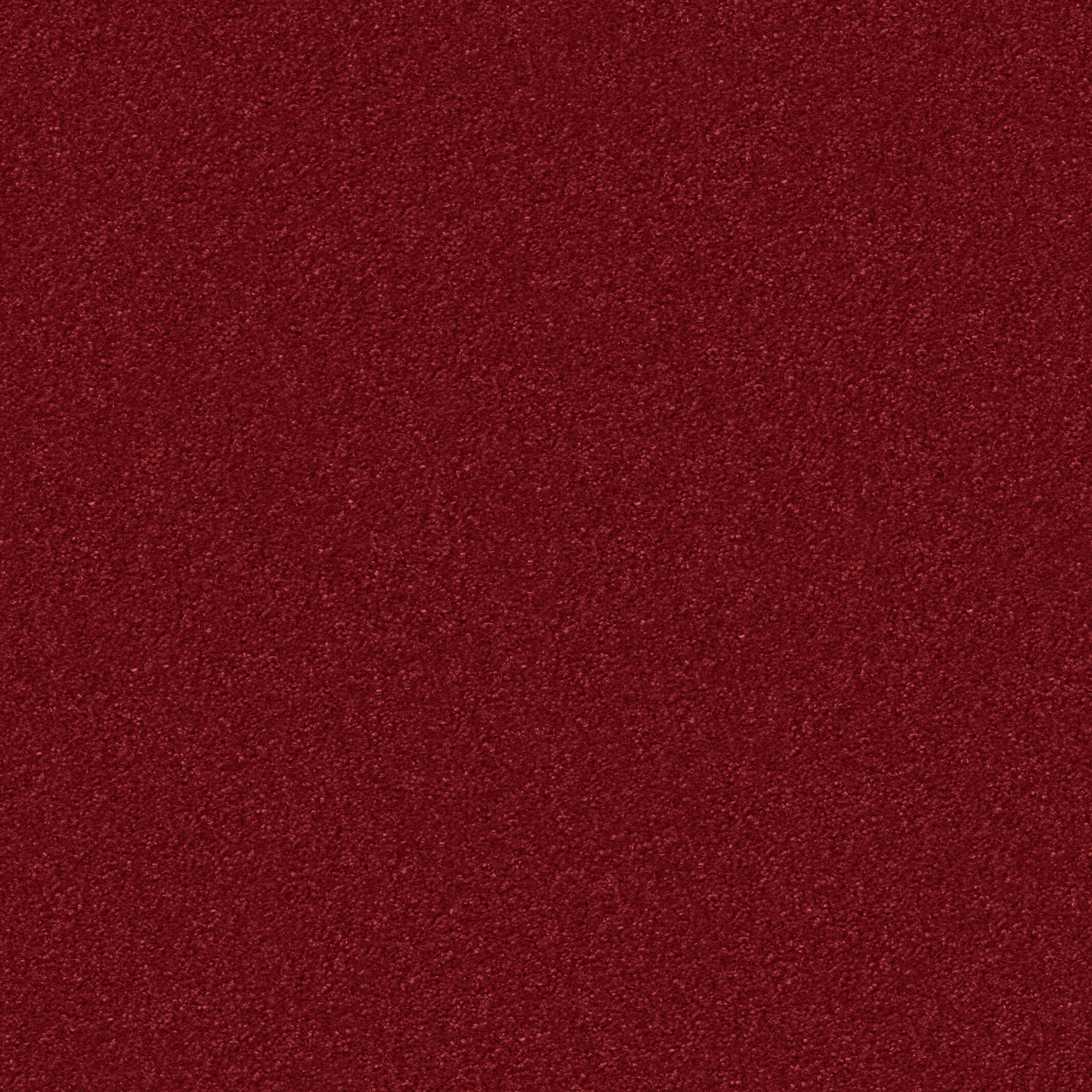 1241 Merlot