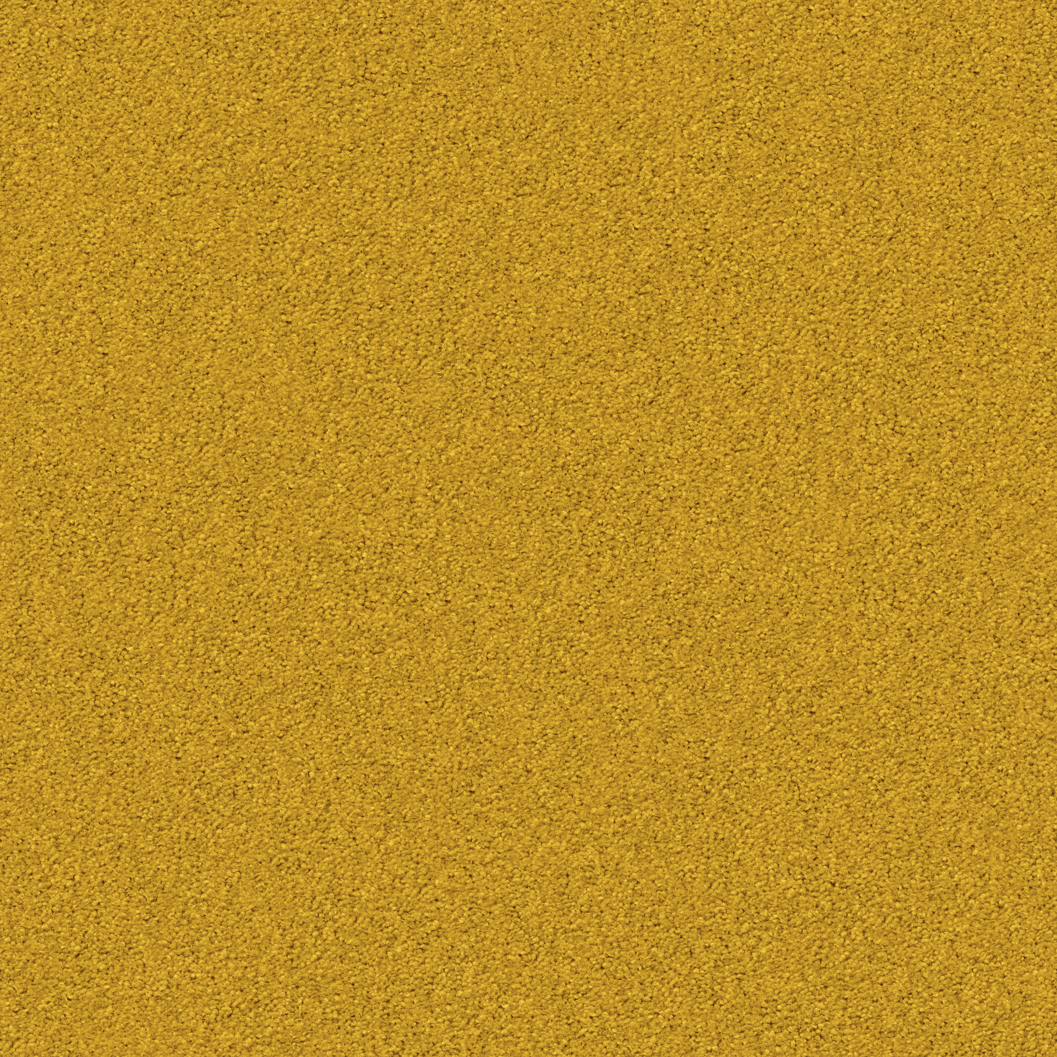 1211 Starlight