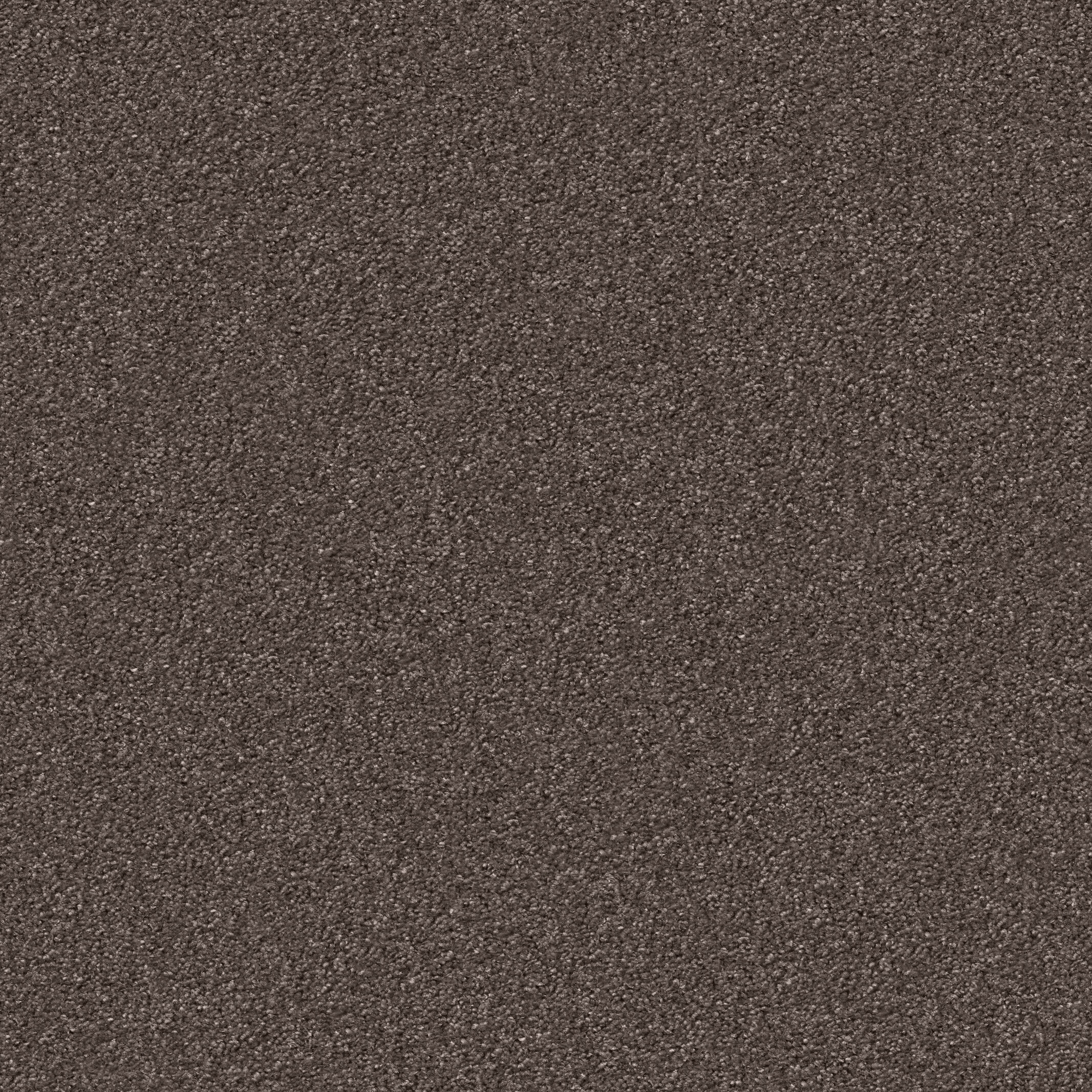 1233 Taupe