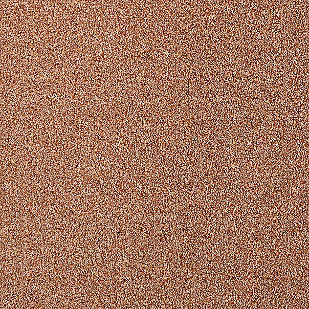 231