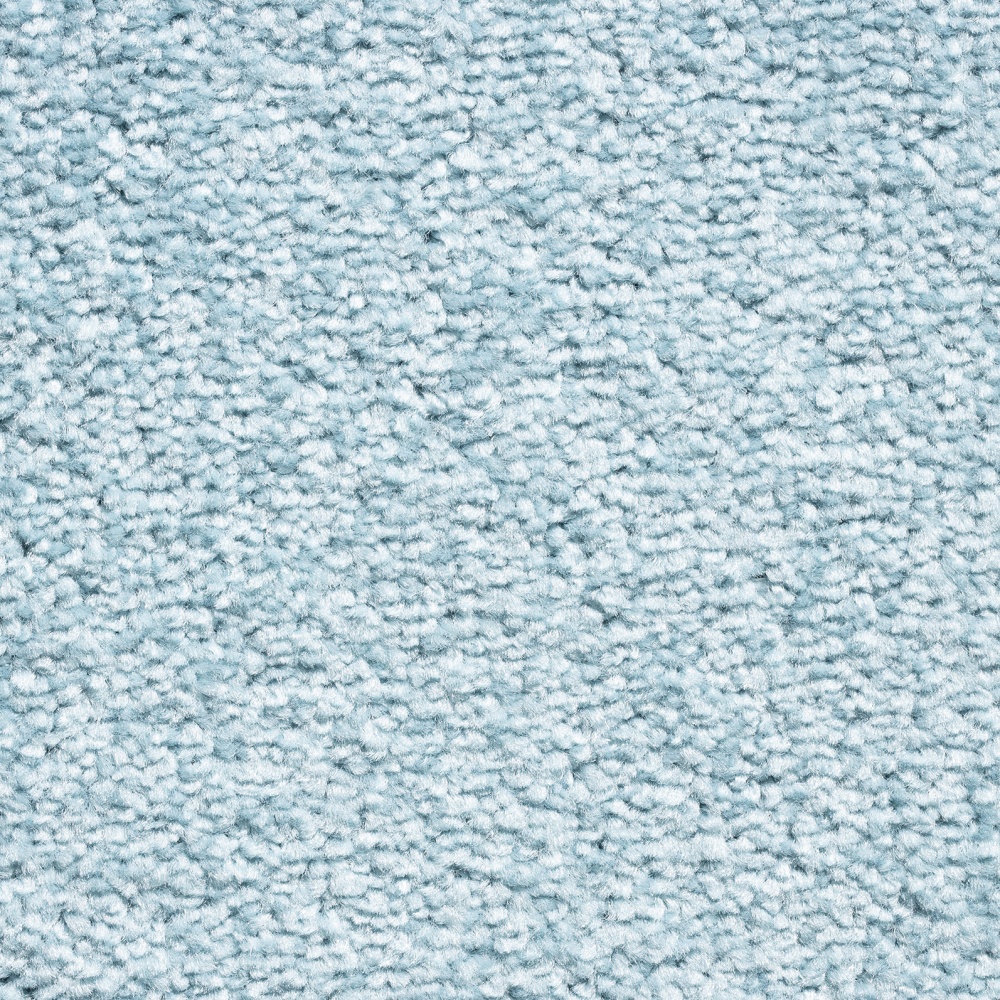 81