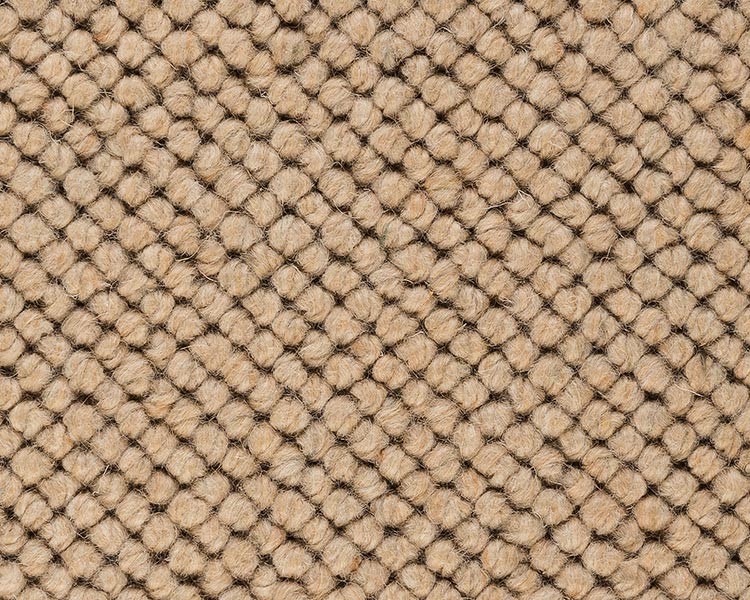 Sesame