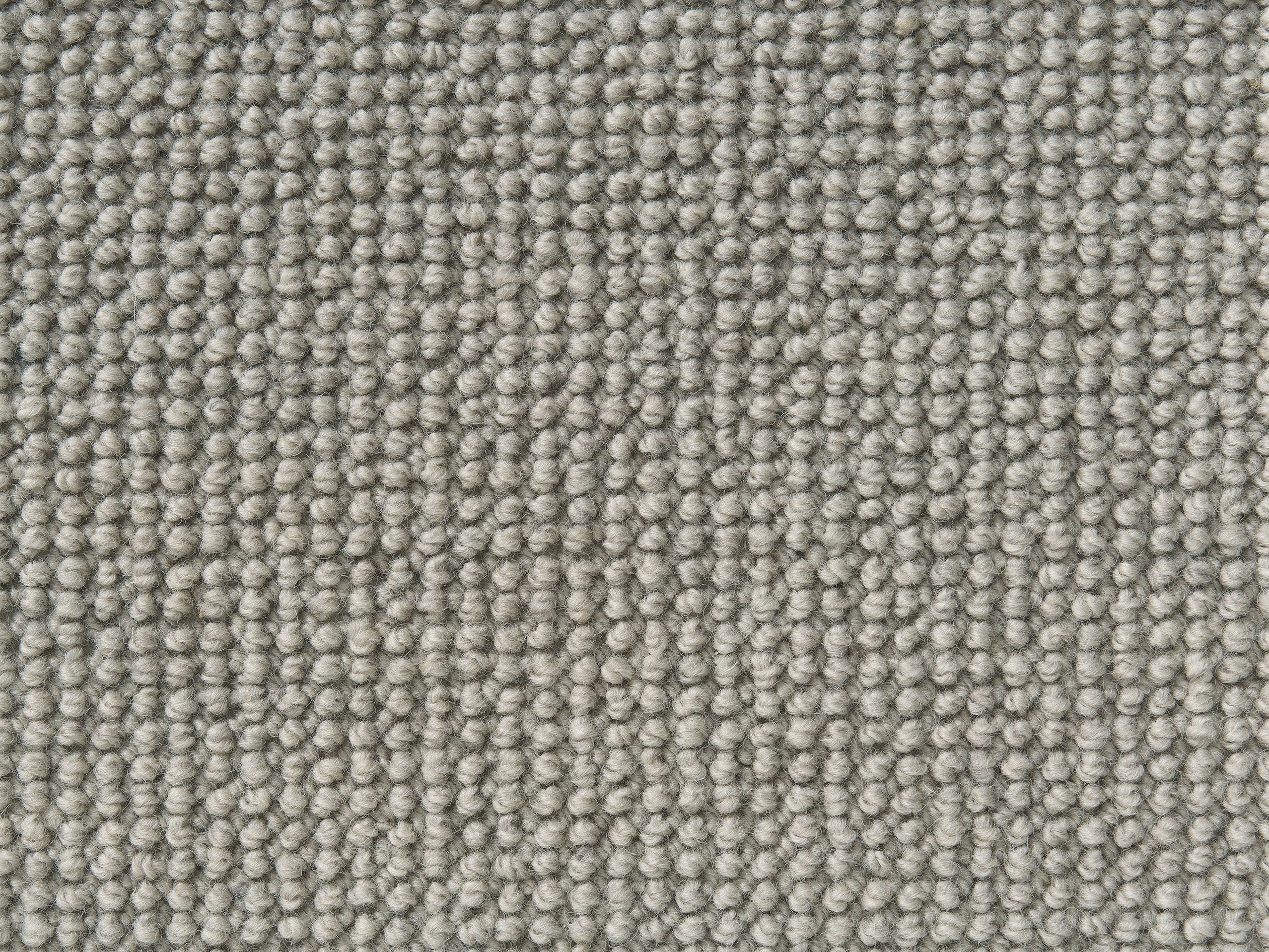 Oyster