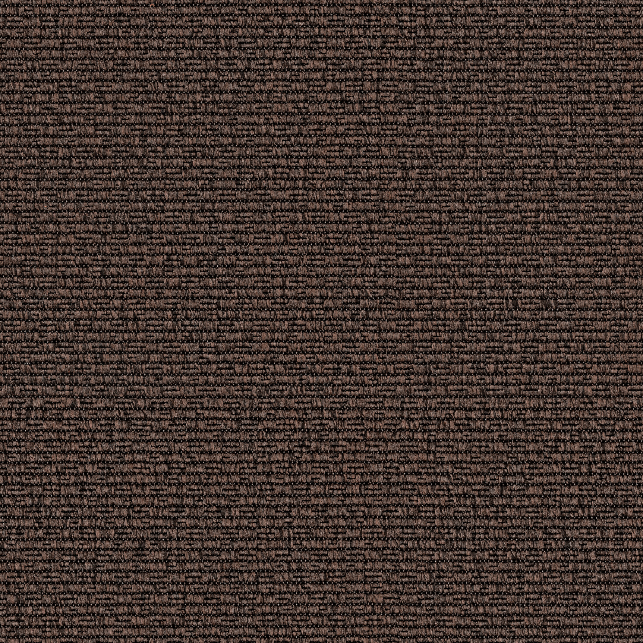 1078 Dark Forest