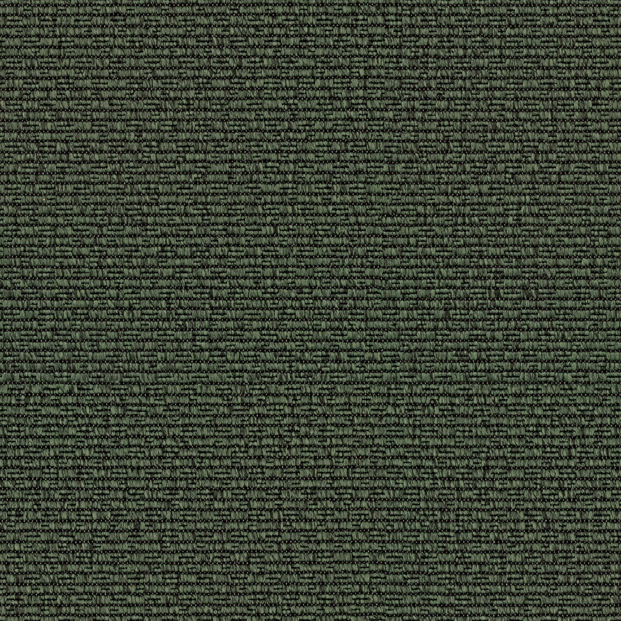 1075 Underbrush