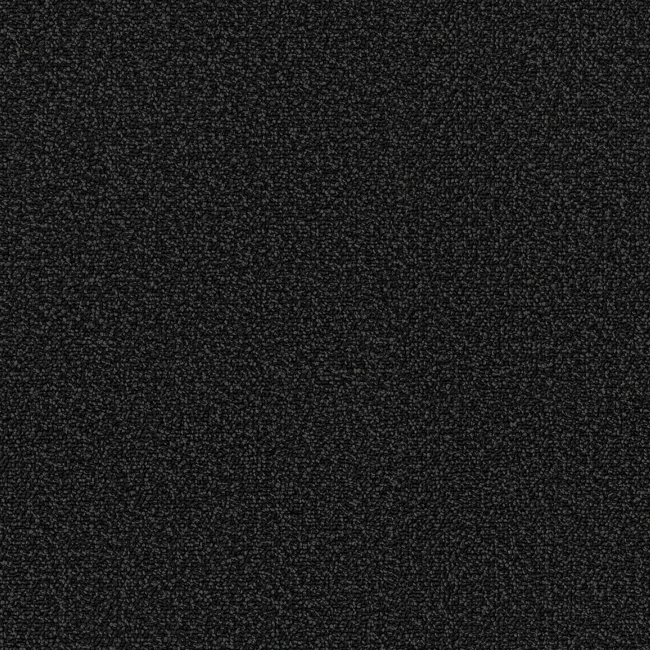 7954 Ebony