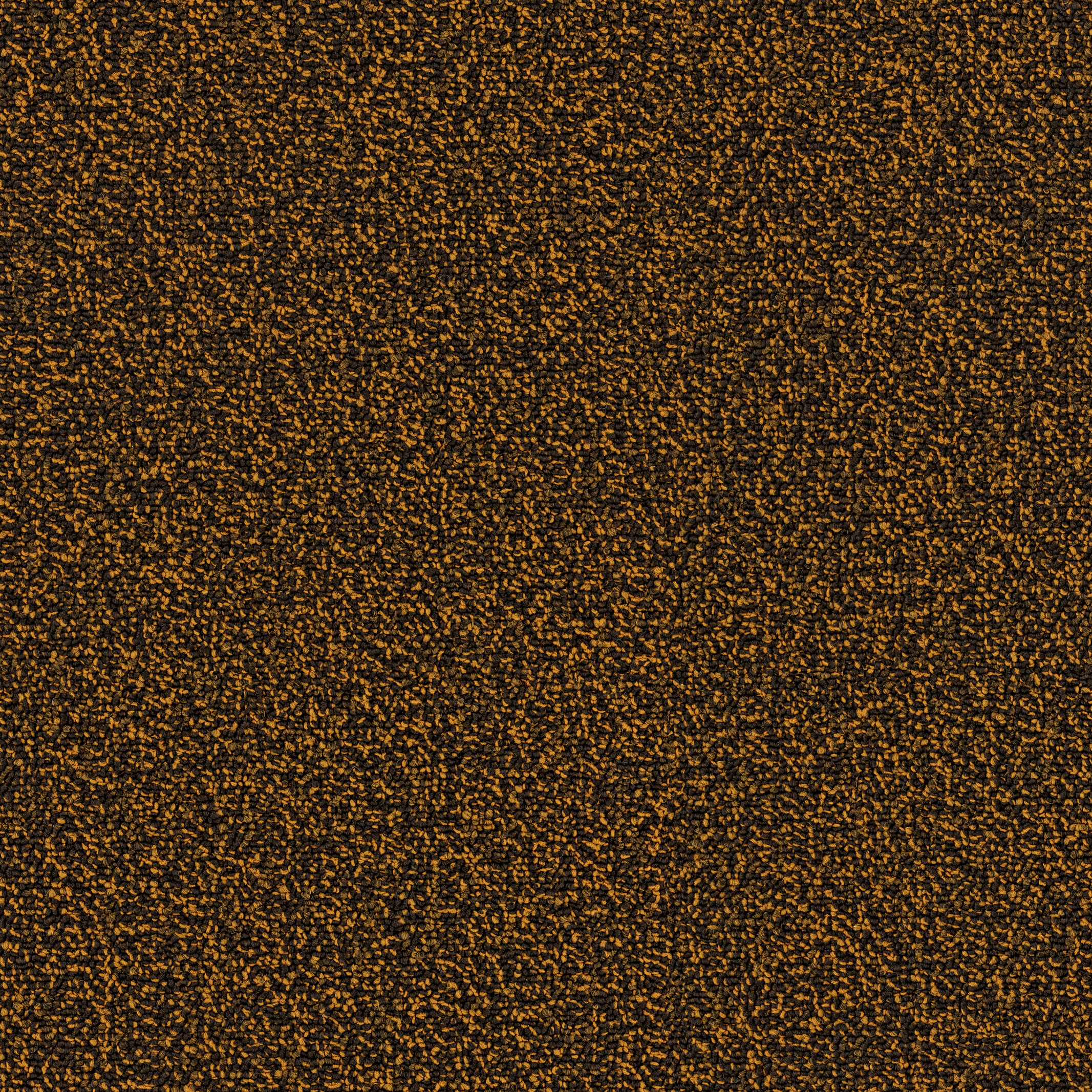 7962 Beehive