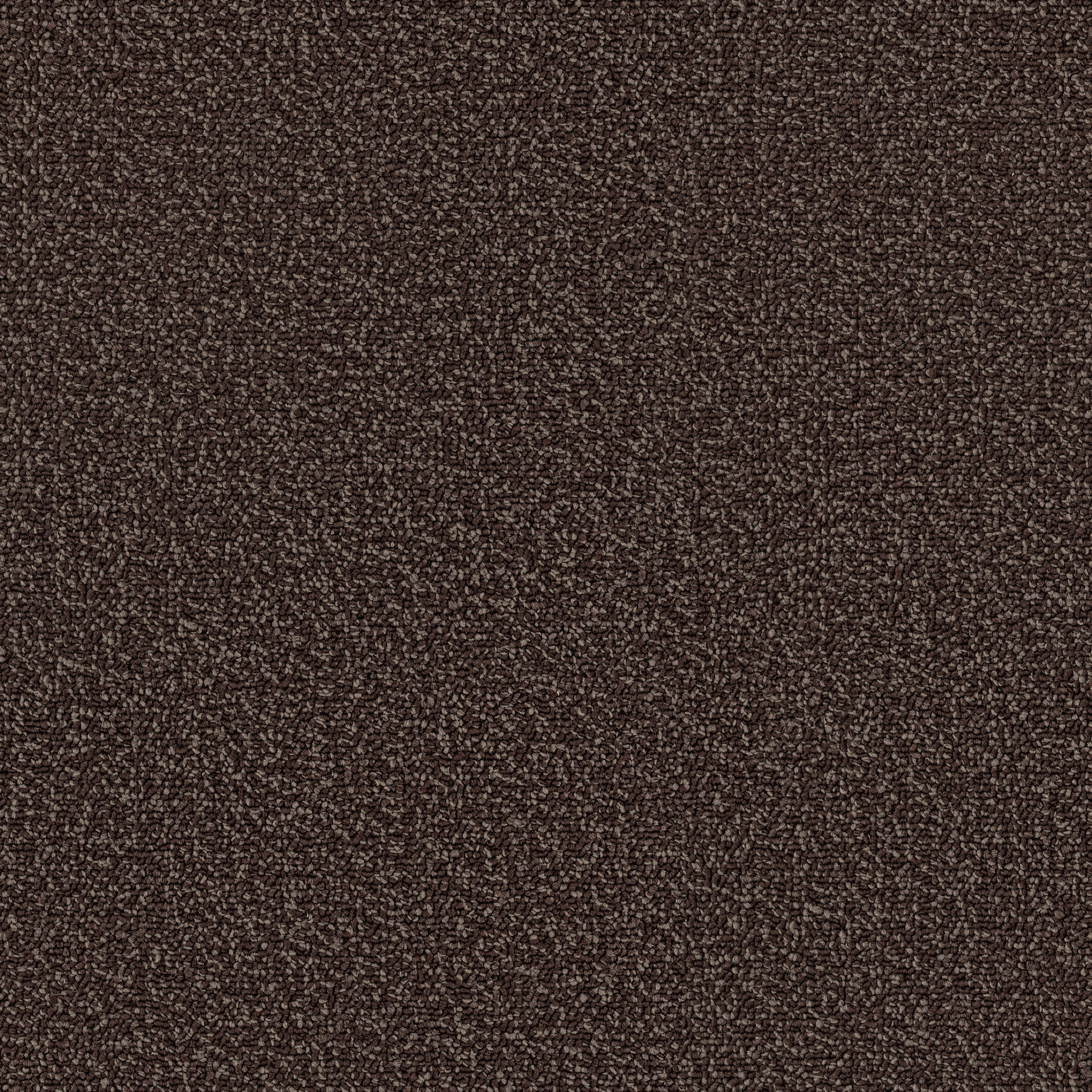 7957 Tiramisu