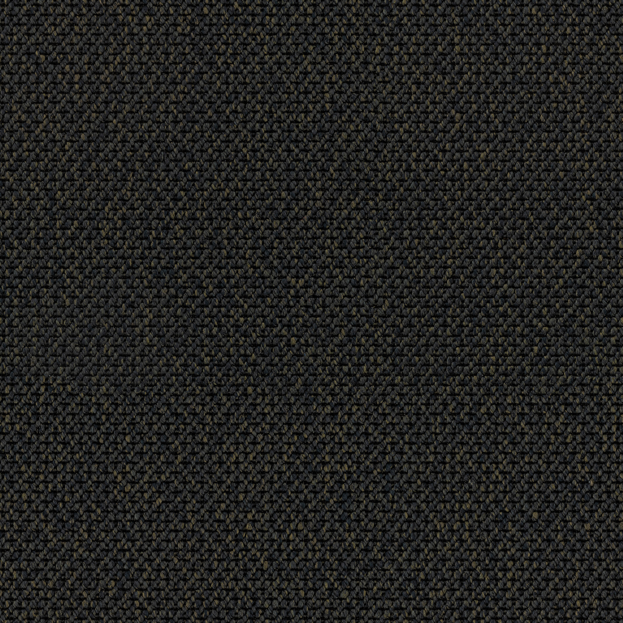 1080 Mascara