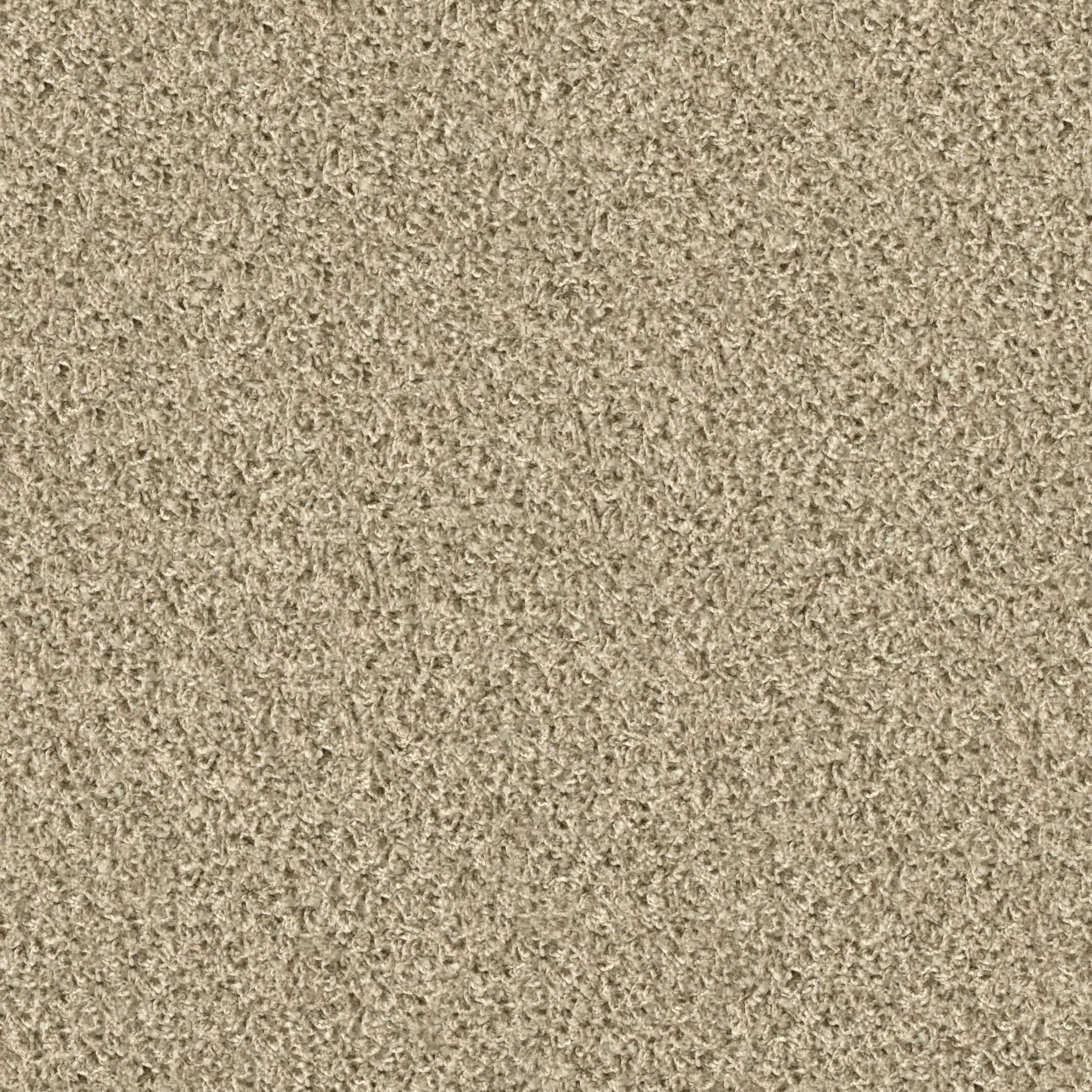 1406 Bisquit
