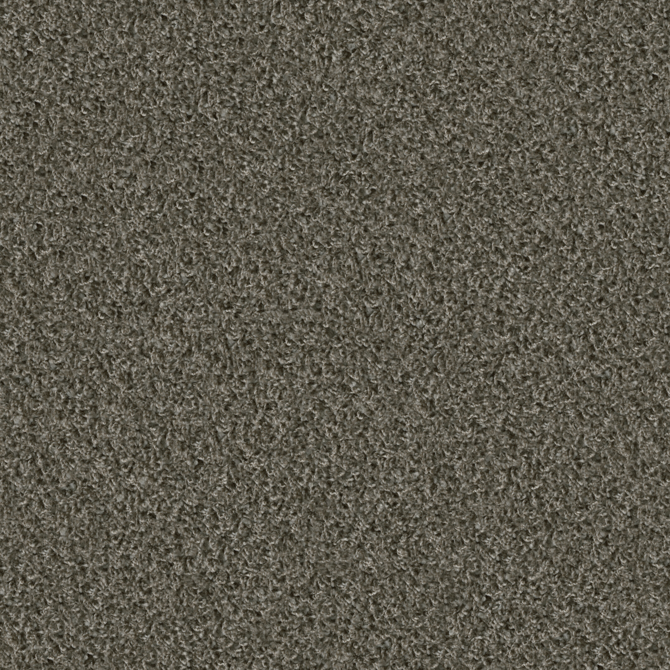 1424 Koala