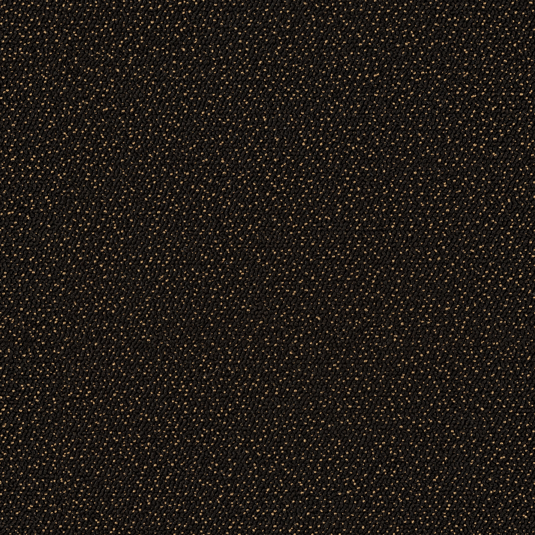 7429 Pine