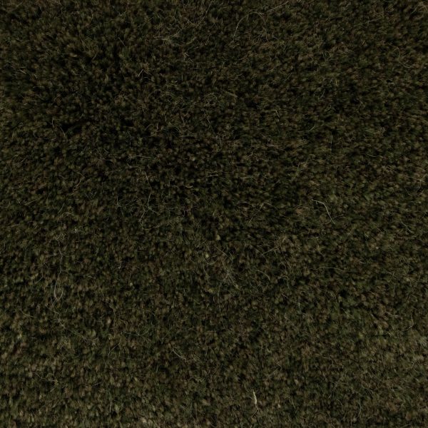6M31-4N13