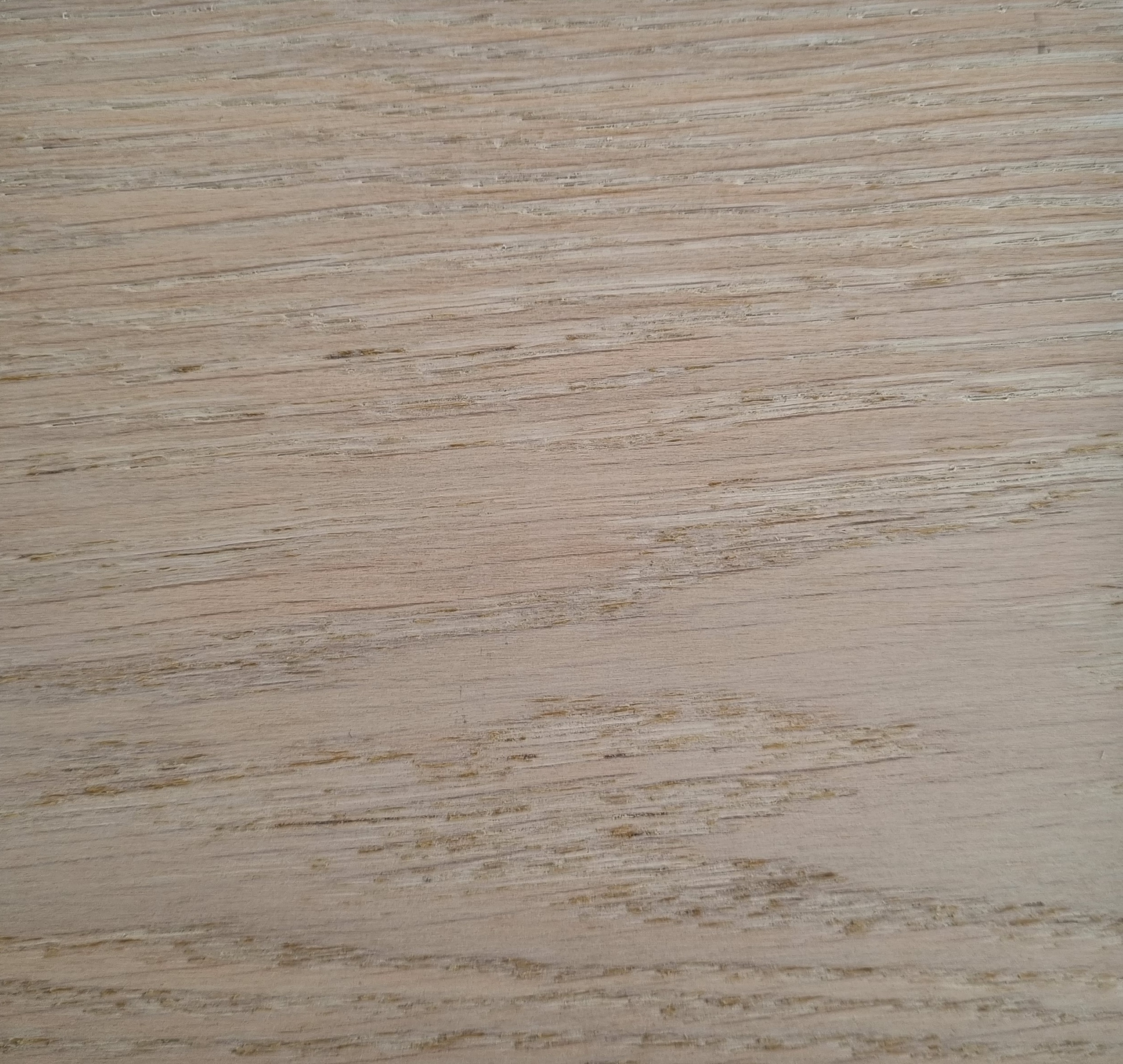 Bianco Luna showroom stin