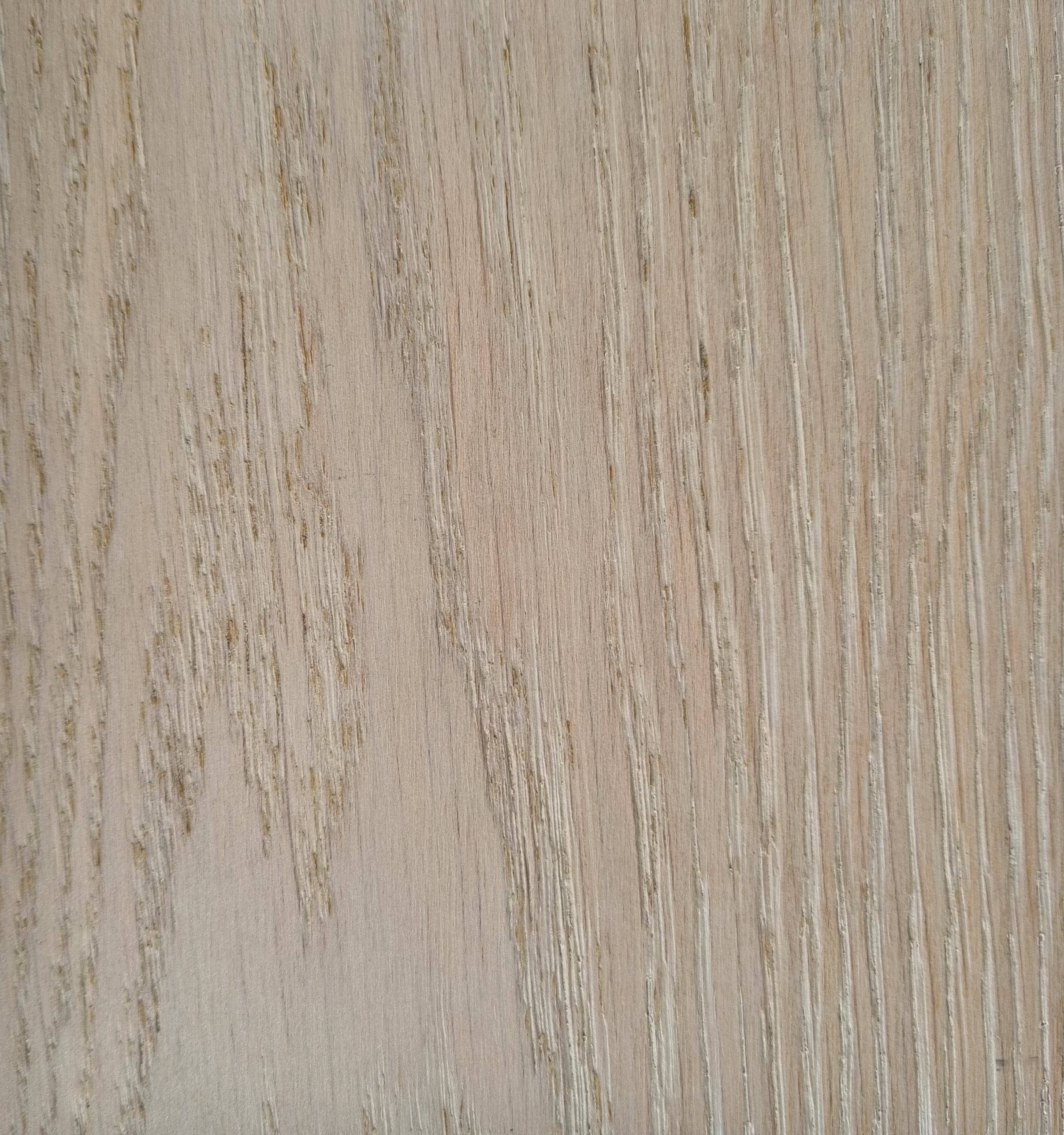 Bianco Luna showroom slunce