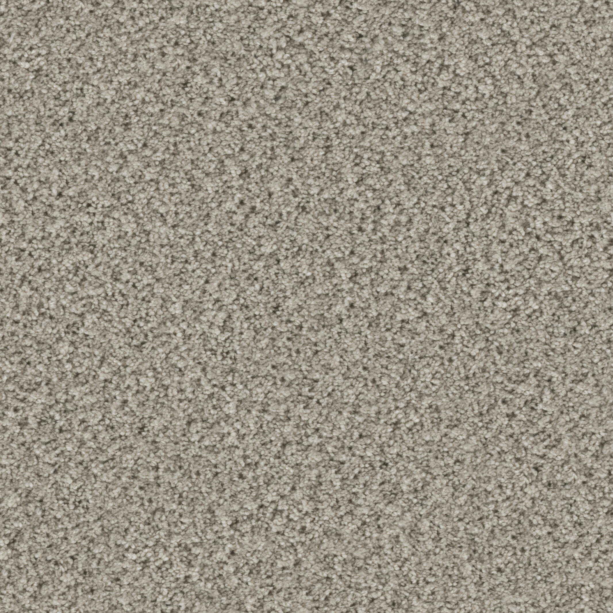 2154 Pebble