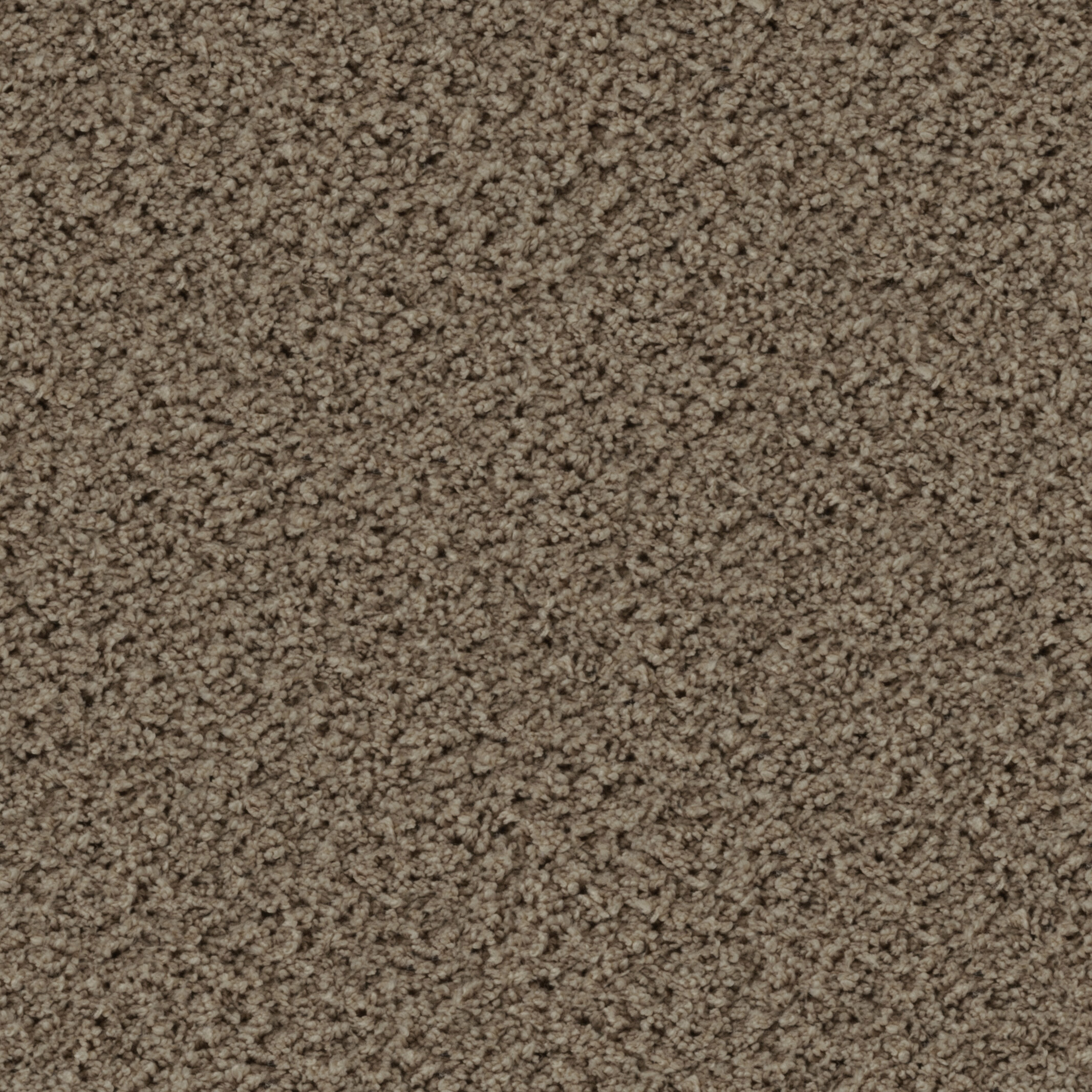 2155 Taupe