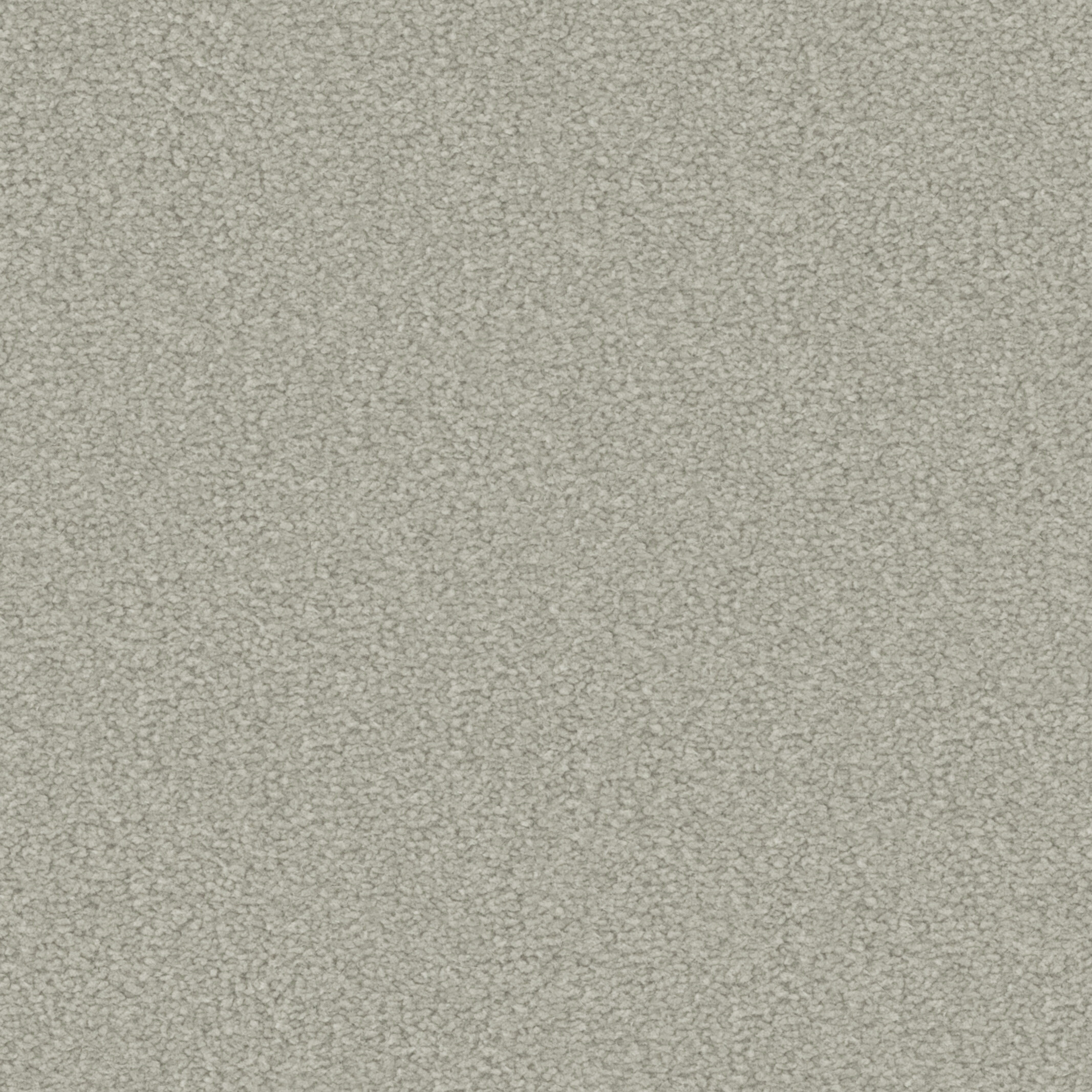 2006 Light Grey