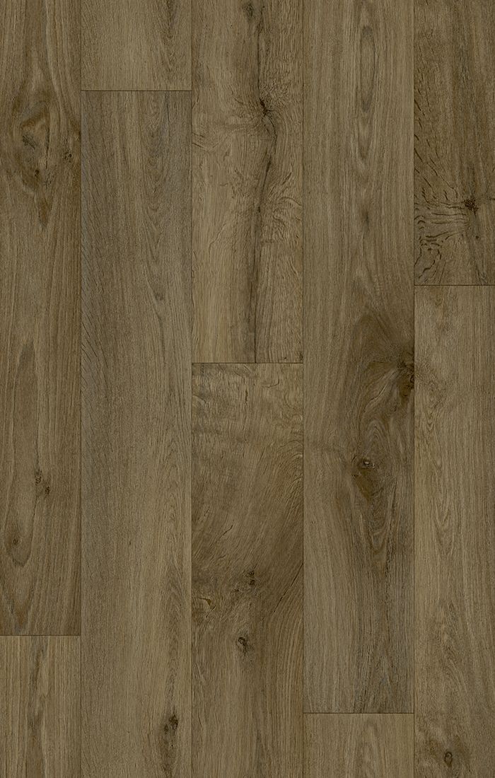 Vero 696D