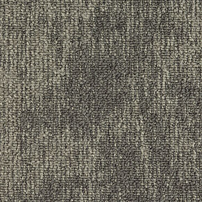 000010-800