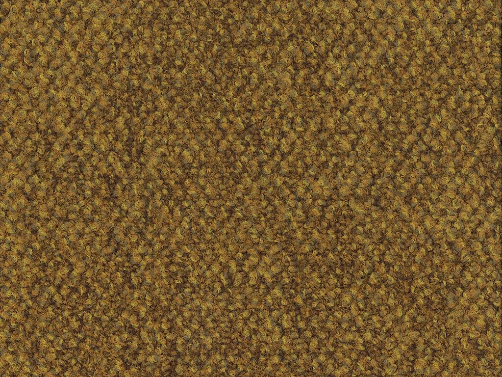 000800-282