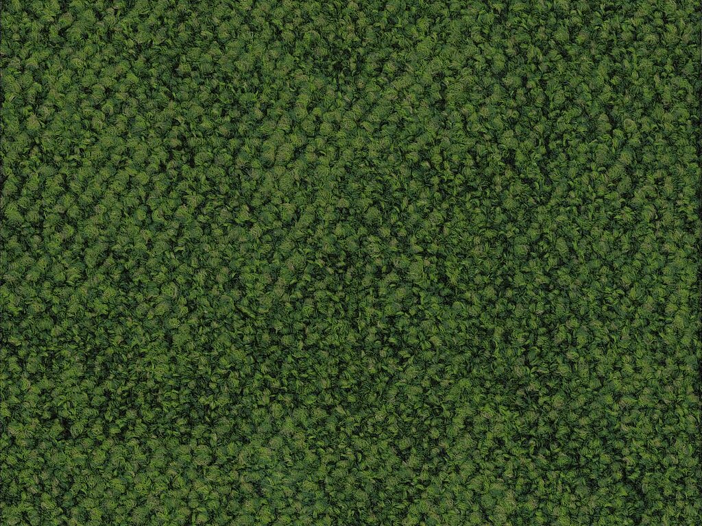 000800-488
