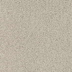 000010-800