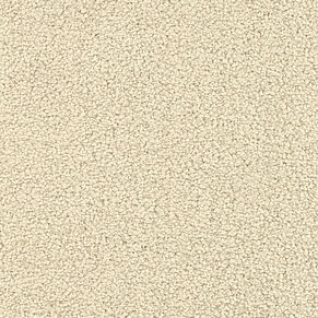 000010-801