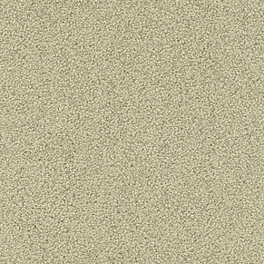 000010-802