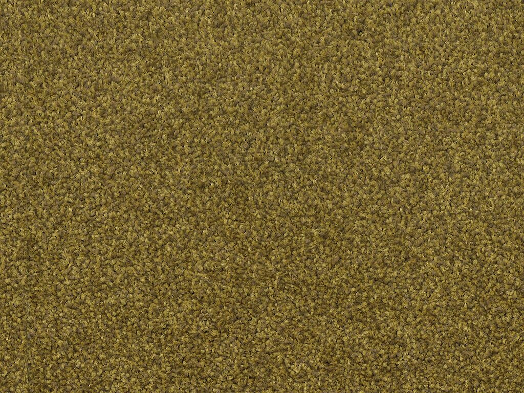 000010-203