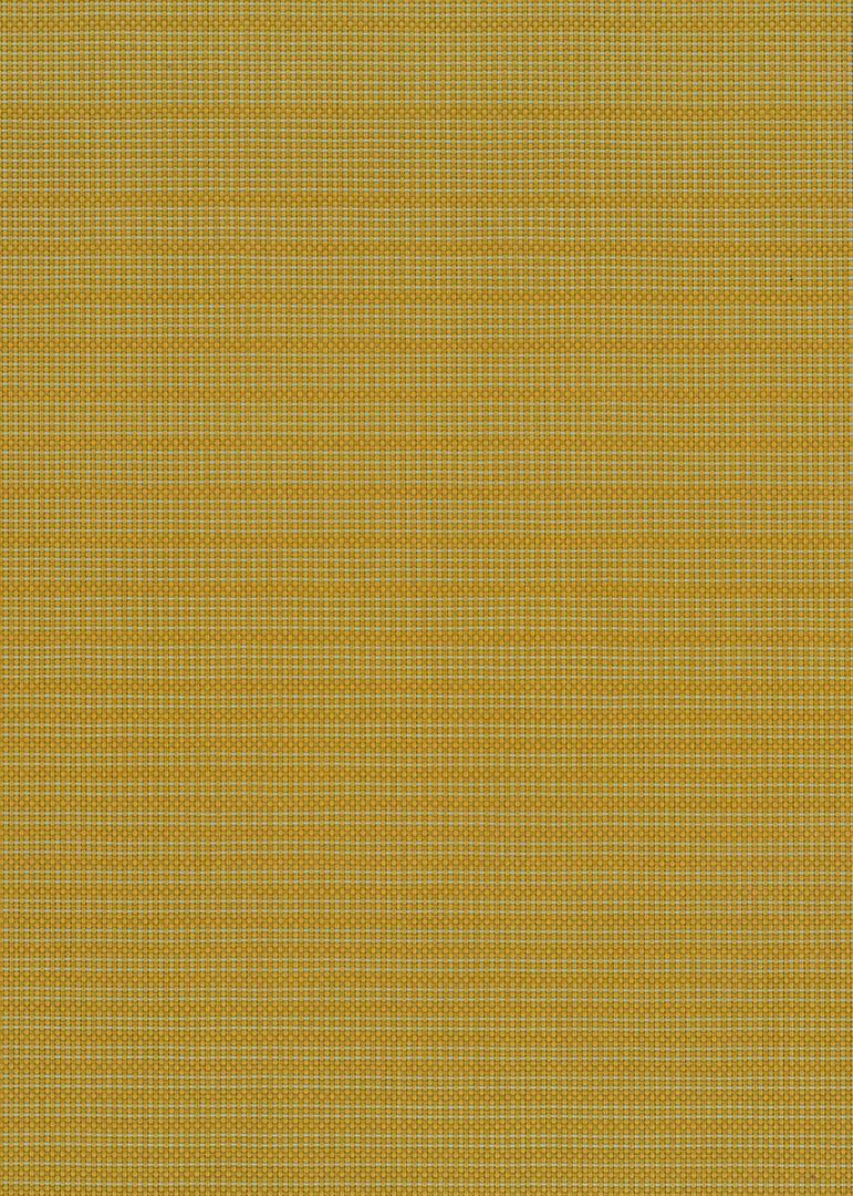 MT Ochre