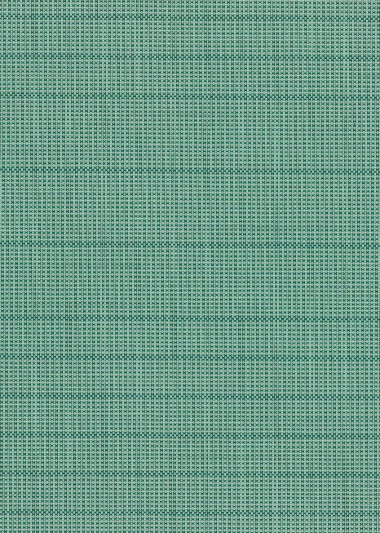 Pine
