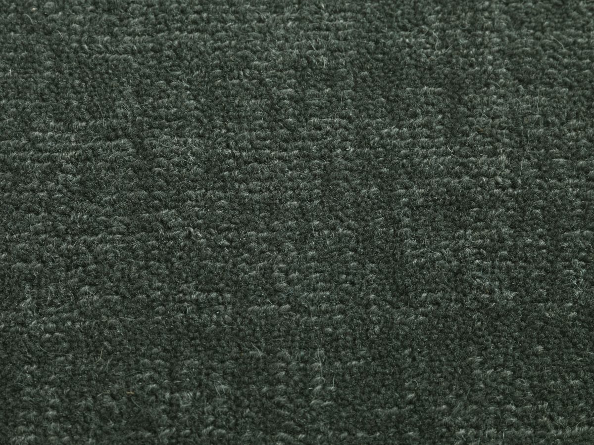 Olea