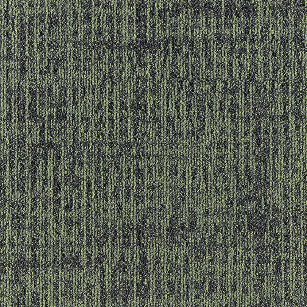 659