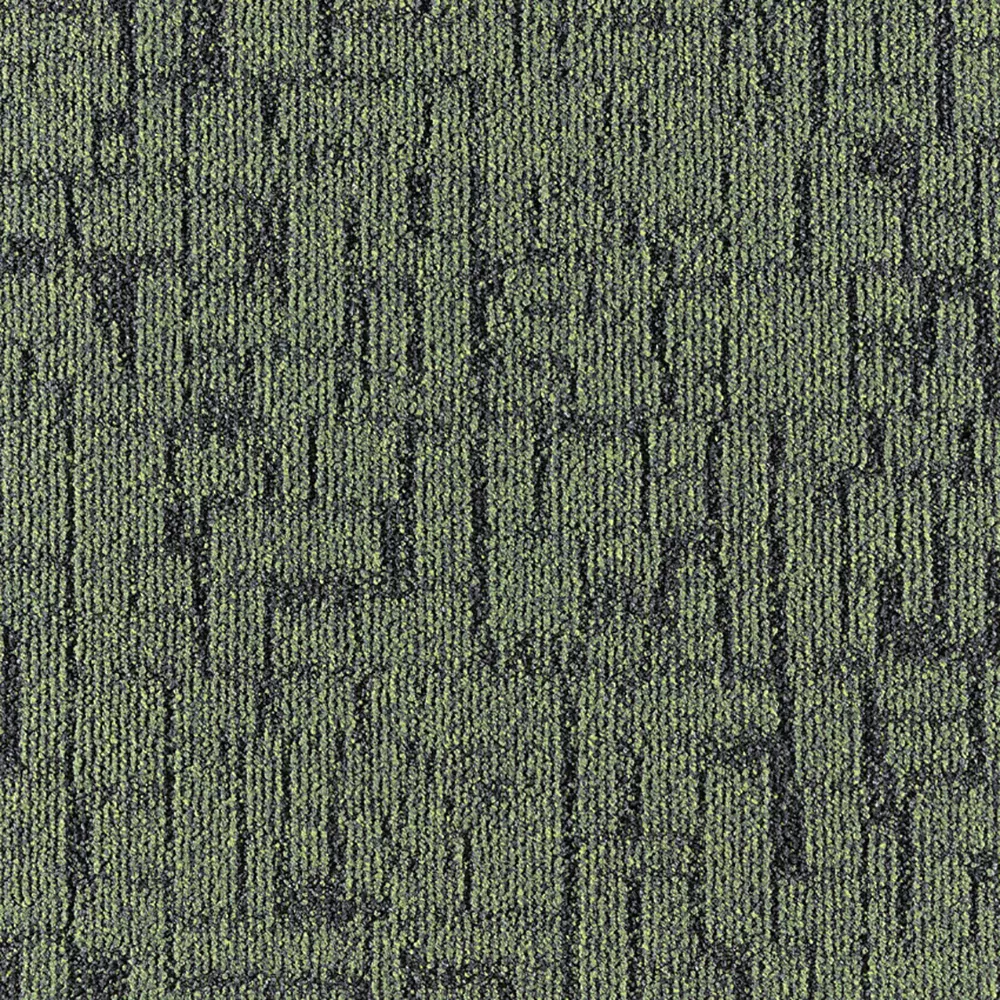 659