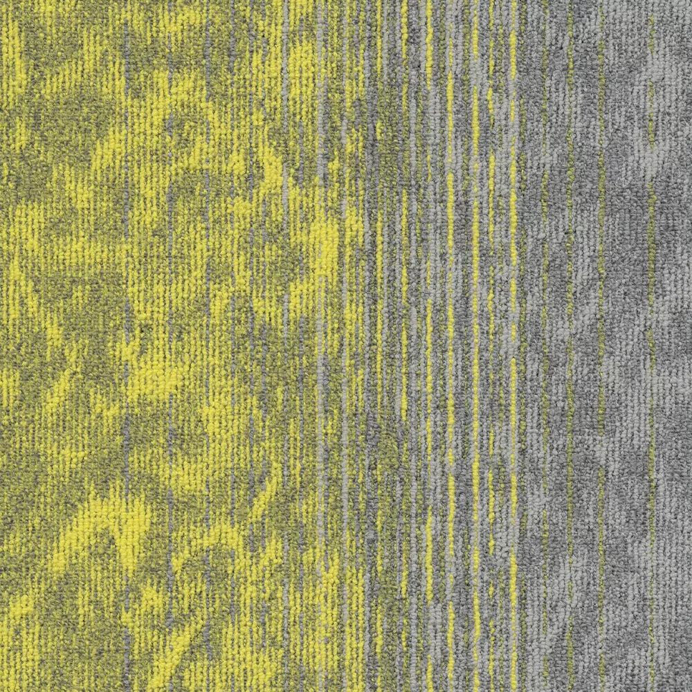 Motion sd b2b 50x50 cm